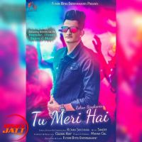 Tu Meri Hai Rohan Singhania MP3 Song, Tu Meri Hai Album