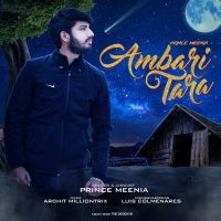 Ambari Tara Prince Meenia MP3 Song, Ambari Tara Album