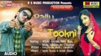 Mast Tokani Raju Punjabi MP3 Song, Mast Tokani Album