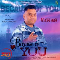 Because of You Binda Dayalpuri MP3 Song, Because of You Album