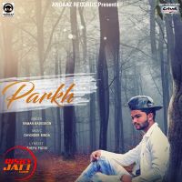 Parkh Raman Badesron MP3 Song, Parkh Album
