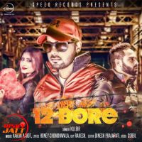 12 Bore Kulbir MP3 Song, 12 Bore Album