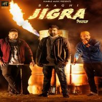 Jigra Baaghi MP3 Song, Jigra Album