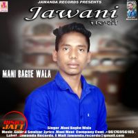 Jawani Mani Baghe Wala MP3 Song, Jawani Album