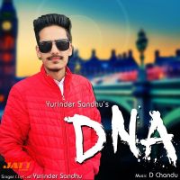 D N A Yurinder Sandhu MP3 Song, D N A Album
