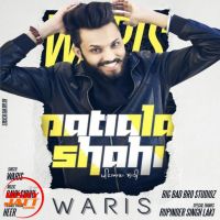 Patialashahi Waris MP3 Song, Patialashahi Album