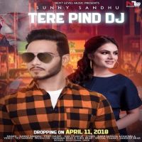 Tere Pind Dj Sunny Sandhu MP3 Song, Tere Pind Dj Album