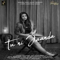 Tu Ni Jaanda Raashi Sood MP3 Song, Tu Ni Jaanda Album