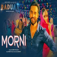 Morni (Raduaa) Dilpreet Dhillon MP3 Song, Morni (Raduaa) Album