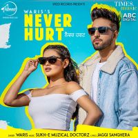 Never Hurt Waris, Sukh E Muzical Doctorz MP3 Song, Never Hurt Album