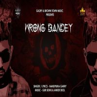 Wrong Bandey Nandpuria Garry MP3 Song, Wrong Bandey Album