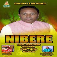 Nibere Sahib Sandhu MP3 Song, Nibere Album