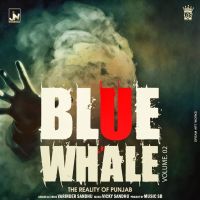 Blue Whale Reality Of Punjab Vol 2  MP3 Song, Blue Whale Reality Of Punjab Vol 2 Album