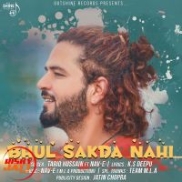 Bhul Sakda Nahi Tariq Hussain MP3 Song, Bhul Sakda Nahi Album