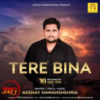 Tere Bina Akshay Nawanshahriya MP3 Song, Tere Bina Album
