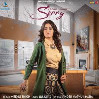 Sorry Meenu Singh MP3 Song, Sorry Album