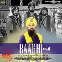 Baaghi S.Garja Singh Manakpur Sharif MP3 Song, Baaghi Album