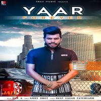 Yaar Forever Gold E MP3 Song, Yaar Forever Album