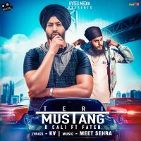 Teri Mustang Fateh, D Cali MP3 Song, Teri Mustang Album