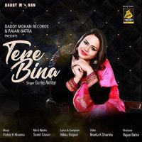 Tere Bina Gurlez Akhtar MP3 Song, Tere Bina Album