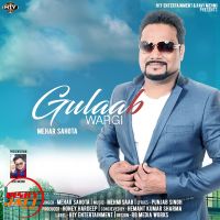 Gulaab Wargi Mehar Sahota MP3 Song, Gulaab Wargi Album