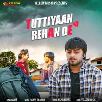 Tuttiyan Rehan De Amit MP3 Song, Tuttiyan Rehan De Album