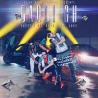 Gaddi Ch Shevy, Dr Love, Lil Golu MP3 Song, Gaddi Ch Album