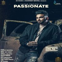 Passionate Karan Benipal MP3 Song, Passionate Album