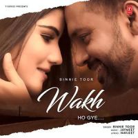 Wakh Ho Gye Binnie Toor MP3 Song, Wakh Ho Gye Album