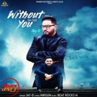 Without You ( Bin Tere ) Jay D MP3 Song, Without You ( Bin Tere ) Album
