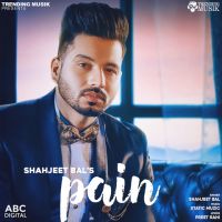Pain Shahjeet Bal MP3 Song, Pain Album