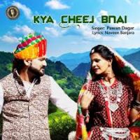 Kya Cheej Bnai Pawan Dagar, Sonu Soni, Vicky Rajput MP3 Song, Kya Cheej Bnai Album