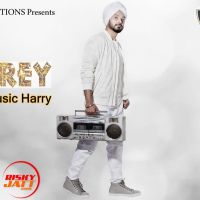 Fukrey Harry MP3 Song, Fukrey Album