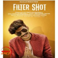 Filter Shot Gulzaar Chhaniwala MP3 Song, Filter Shot Album