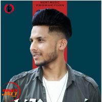 Bikaneri feem Navi Sultanpuria MP3 Song, Bikaneri feem Album