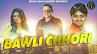 Bawli Chhori Vikash Kumar, Sheenam Ketholic, Sanjay Verma, Shilpa Singh MP3 Song, Bawli Chhori Album