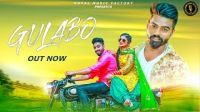Gulabo Raj Mawar, Vicky Siwani, Himani Nimran MP3 Song, Gulabo Album
