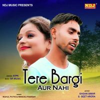 Tere Bargi Aur Nahi Rahul Puthi, Renuka Panwar MP3 Song, Tere Bargi Aur Nahi Album
