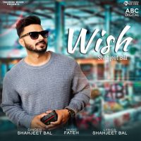 Wish Shahjeet Bal MP3 Song, Wish Album