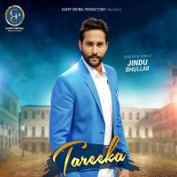Tareeka Jindu Bhullar MP3 Song, Tareeka Album