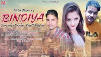 Bindiya Mohit Sharma, Surender Dhaka, Anjali Raghav MP3 Song, Bindiya Album