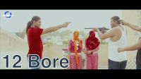 12 Bore PK Pilania, Sahil Sangwan, OM Bhaskar, Pooja Punjaban MP3 Song, 12 Bore Album