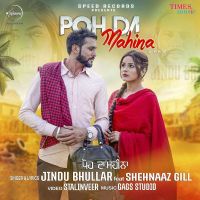Poh Da Mahina Jindu Bhullar MP3 Song, Poh Da Mahina Album