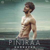 Pinjraa Gurnazar MP3 Song, Pinjraa Album