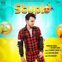 Download Stupid Armaan Bedil, Raashi Sood mp3 song, Stupid lyrics