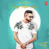 Sang Maar Gayi Geeta Zaildar MP3 Song, Sang Maar Gayi Album
