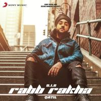 Rabb Rakha Bir MP3 Song, Rabb Rakha Album