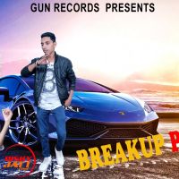 Breakup party Lovely, Sushil Panchal MP3 Song, Breakup party Album