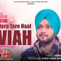 Mera Tere Nall Viavh Amrik Saini MP3 Song, Mera Tere Nall Viavh Album