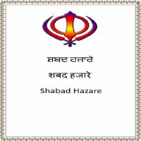 Download Shabad Hazare Bhai Harbans Singh Ji Jagadhari Wale, Bhai Jarnail Singh and others... full mp3 album